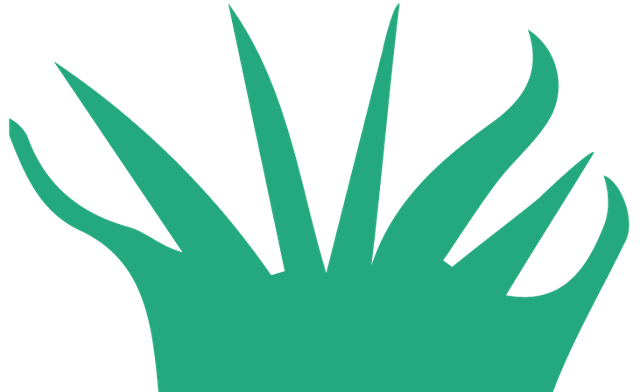 Invasive & Noxious Weed Management